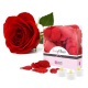 Bed of Roses Červené okvětní lístky růží + 3 svíčky